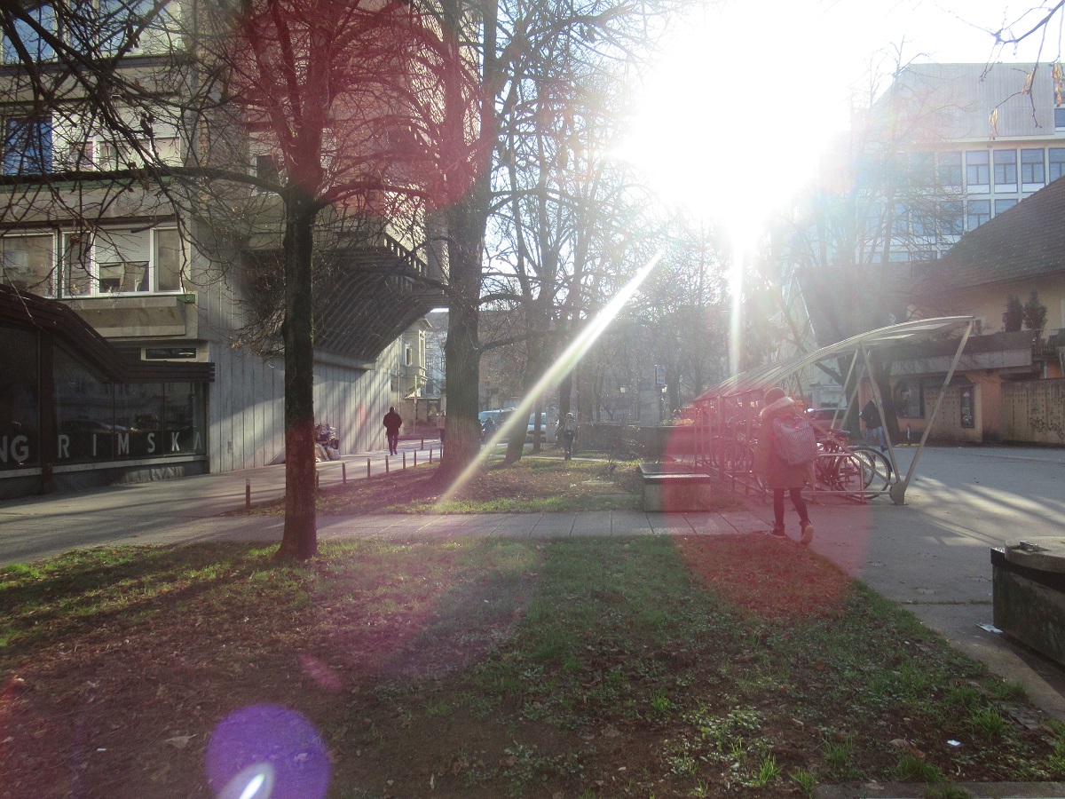 Petošolka, Ljubljana